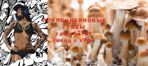 винт Богородицк